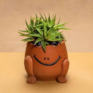 Succulent Haworthiopsis Limifolia In Animal Terracotta Pot Gift