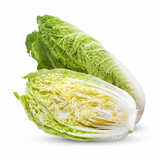 Chinese Cabbage