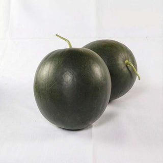Watermelon Indam Patanegra