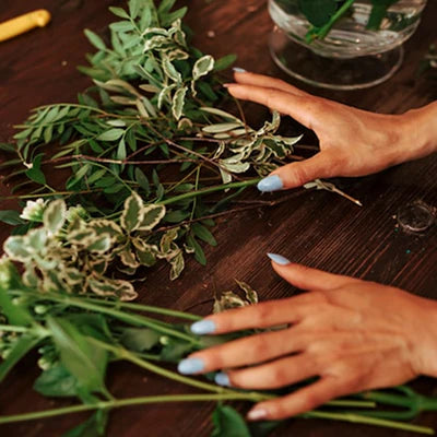 Handpicked Quality Plants