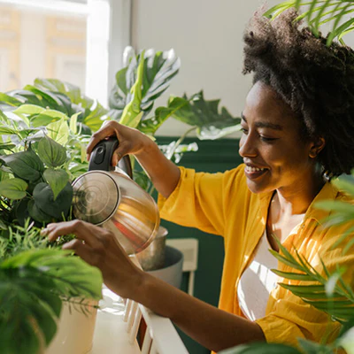 Beginner-Friendly Choices