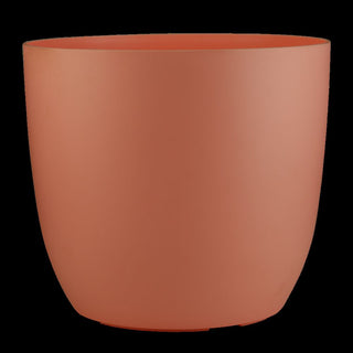 Mini Ronda - Smart Tray