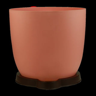 Mini Ronda - Smart Tray