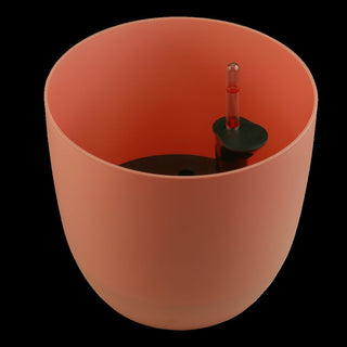 Mini Ronda - Self Watering Kit