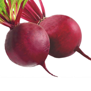 Beetroot Indam 978