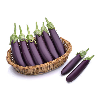 Brinjal Indam 504