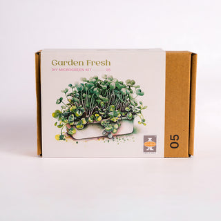 Diy Microgreen Kit 5