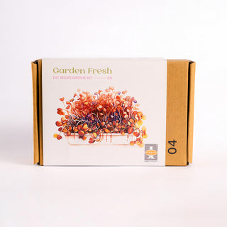 Diy Microgreen Kit 4