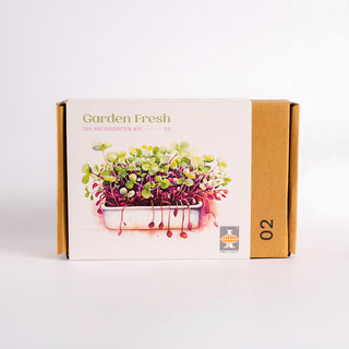 Diy Microgreen Kit 2