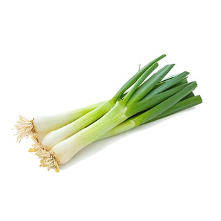 Leek