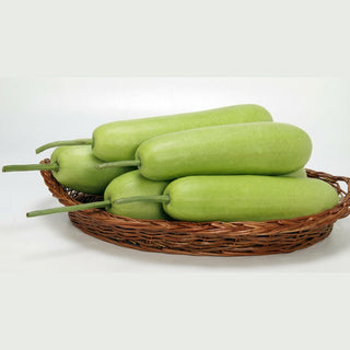 Bottlegourd Indam Sarthak