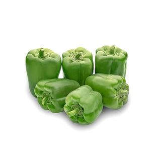 Capsicum Indam Karishma