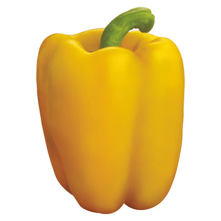Capsicum Indam Super Gold
